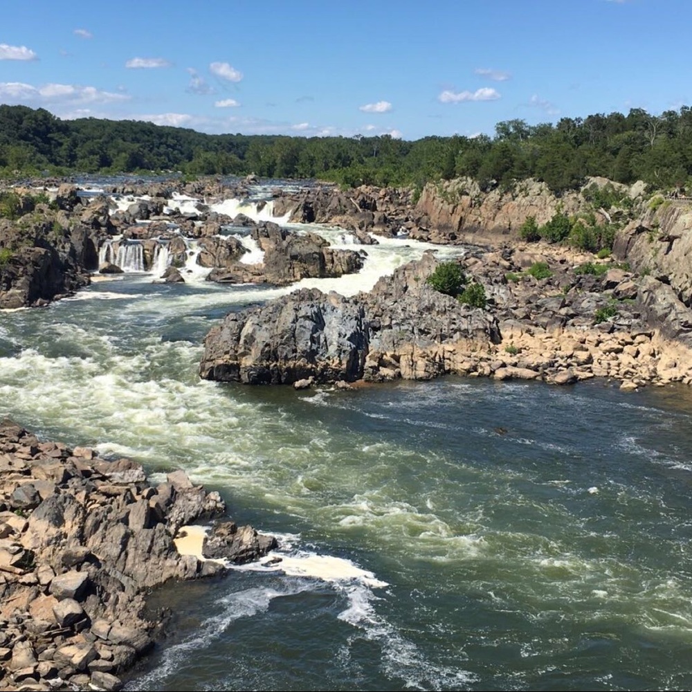 Meet your Posher, Sharnay